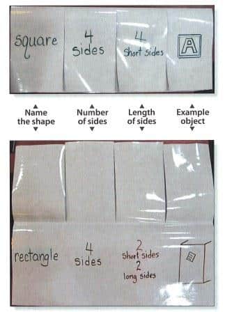 Laminated Flapbook - Collect comparison information - Graphic Organizer Laminated Flapbook - Collect comparison information - Graphic Organizer